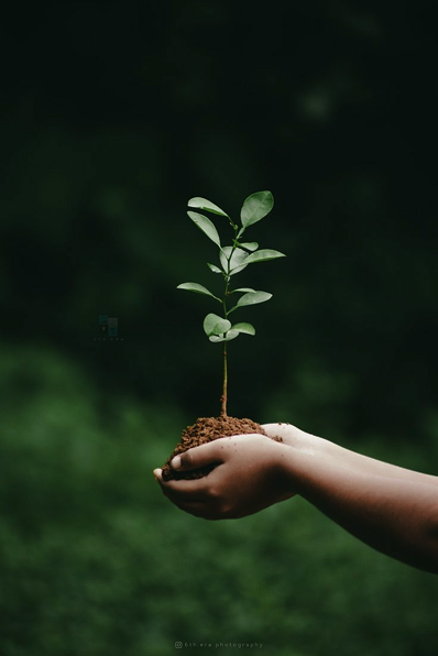 Sustainability and Climate